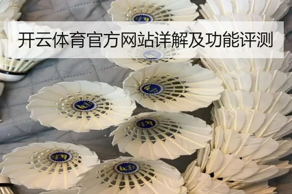 开云体育官方网站详解及功能评测